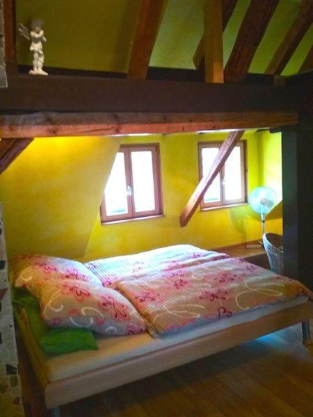 Gruene Franziska, Perfekt Fuer Grosse Familien & Gruppen, Nur 10min Vom Europapark Holiday home